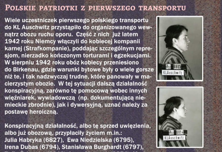 fragment grafiki przedstawiającej kobiety z I transportu